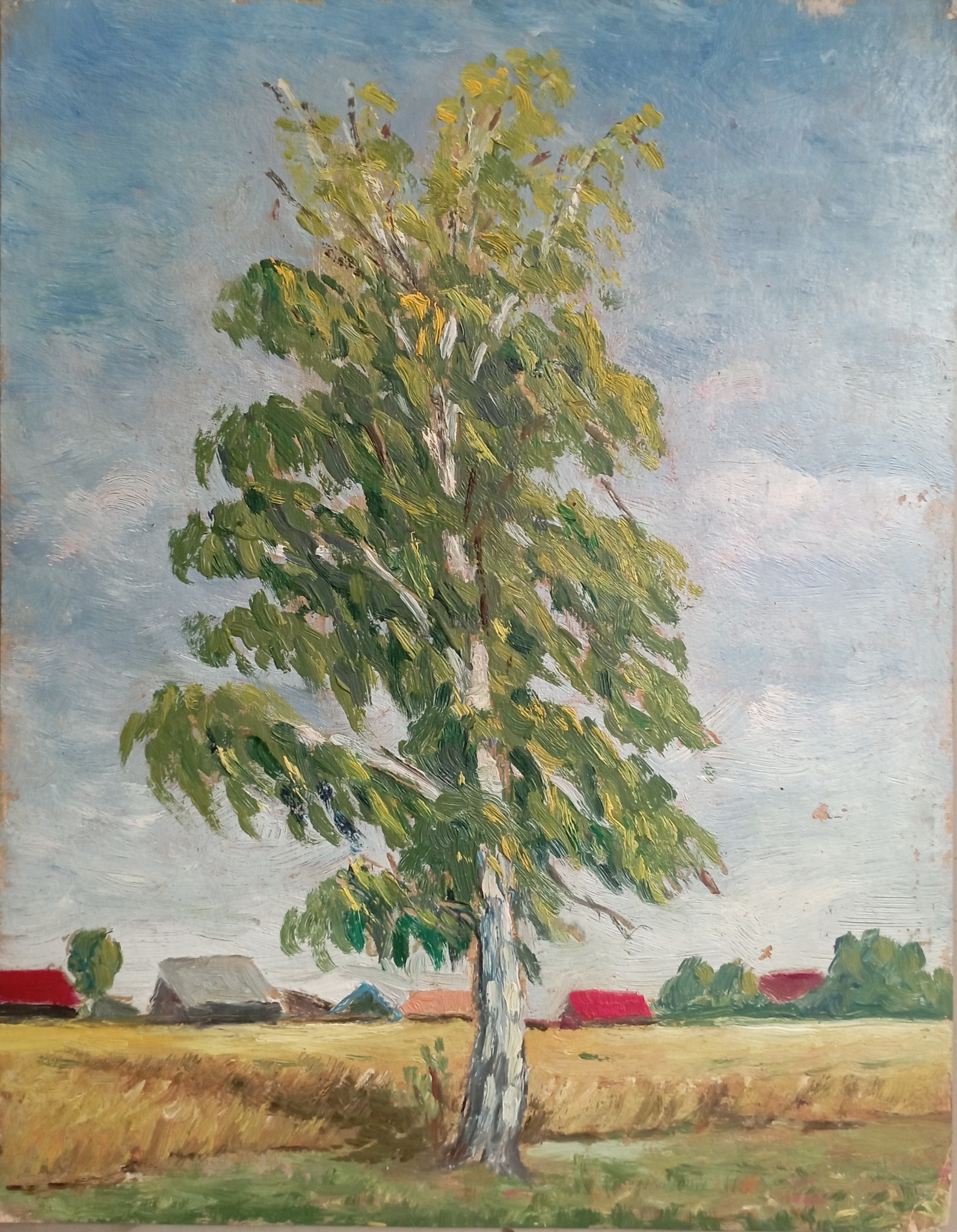 11. 1675746636673.jpg