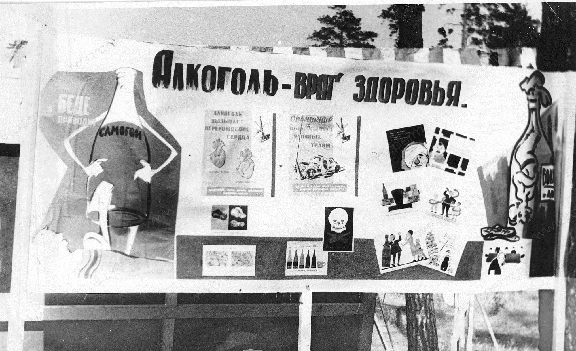 ФФ.Оп.61п.Д.09673.Вид стенда Алкоголь-враг здоровью на Дне здоровья,Пермь,1964-65.jpg