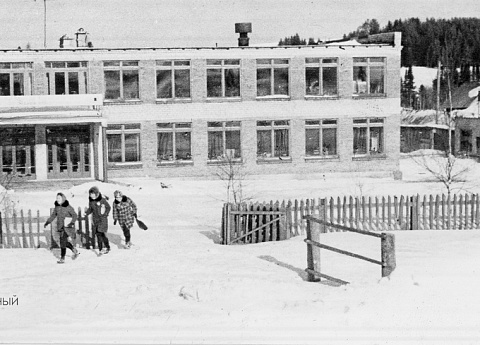 Вид на школу в селе Вассята