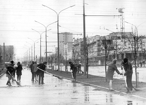 Общегородской субботник. 