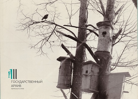 Скворечники1