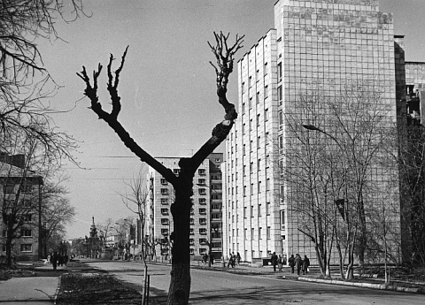 Улица Большевистская (Екатерининская), 1980-е гг.