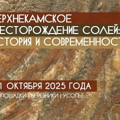 Директор ГАПК Юлия Кашаева выступила на конференции, посвященной 100-летию открытия Верхнекамского месторождения солей